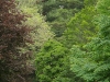 A001_C019_0530VQ