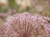 A001_C056_0530BK