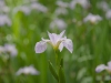 A001_C080_053002
