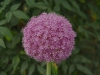 A001_C107_05306V