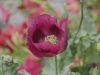 A001_C108_0530GU