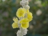 A001_C115_0530R4