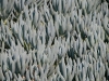 colors-1005