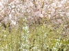colors2-0914