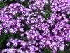 colors2-0918