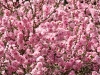 colors2-0923