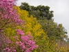 colors2-0955