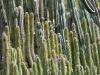 colors2-0984