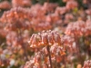 colors2-0994