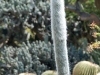 colors2-0996