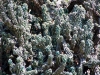 colors2-1001