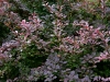 colors3-6490