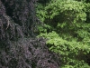 colors3-6495