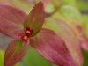 colors3-6504