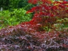 colors3-6507
