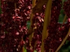 colors3-6532