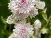 colors3-6535