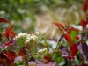 colors3-6554