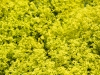 colors3-6557