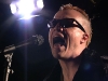 neon-trees-animal5